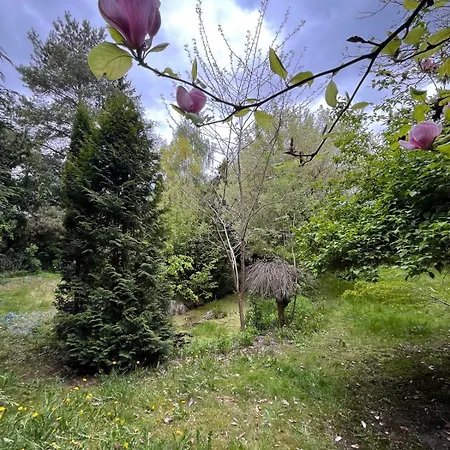 Relaks W Boberkach Prywatna Sala Do Bilarda Bobrowiec (Pomerania)