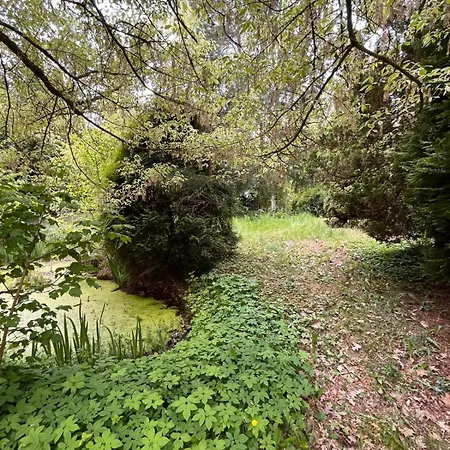 Relaks W Boberkach Prywatna Sala Do Bilarda * Bobrowiec (Pomerania)