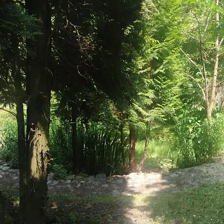 Relaks W Boberkach Prywatna Sala Do Bilarda Bobrowiec (Pomerania)