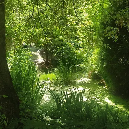 別荘 Relaks W Boberkach Prywatna Sala Do Bilarda *