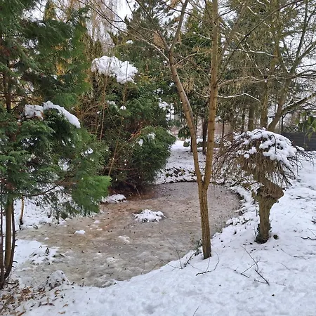 Relaks W Boberkach Prywatna Sala Do Bilarda 別荘 Bobrowiec (Pomerania)