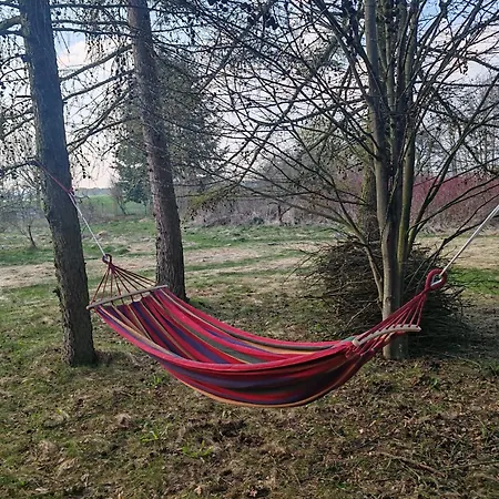 Relaks W Boberkach Prywatna Sala Do Bilarda 別荘 Bobrowiec (Pomerania)