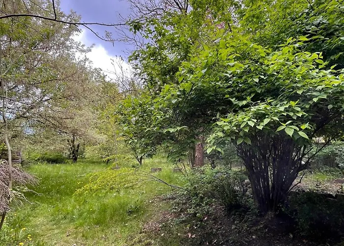 Сasa de vacaciones Relaks W Boberkach Prywatna Sala Do Bilarda