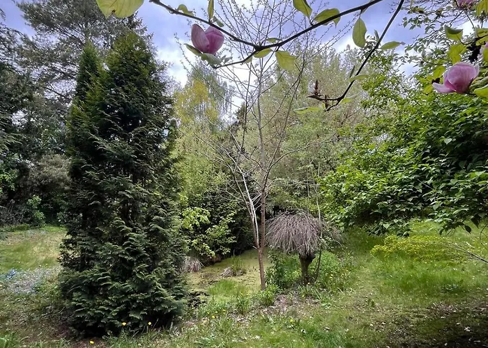 Relaks W Boberkach Prywatna Sala Do Bilarda Bobrowiec (Pomerania)