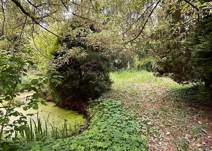 Relaks W Boberkach Prywatna Sala Do Bilarda * Bobrowiec (Pomerania)