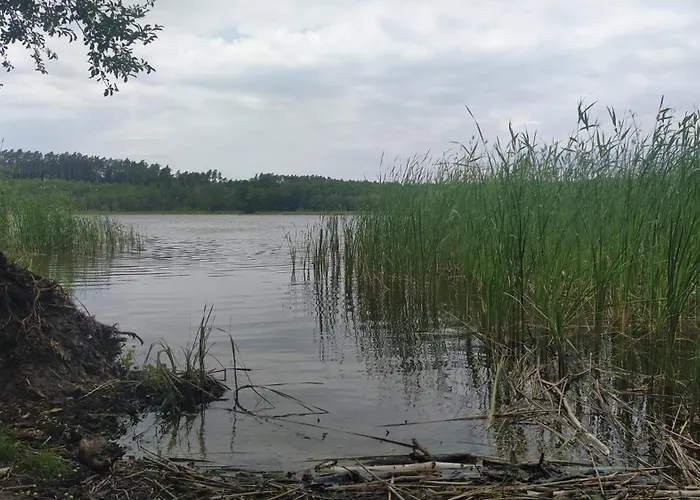 Relaks W Boberkach Prywatna Sala Do Bilarda * Bobrowiec (Pomerania)